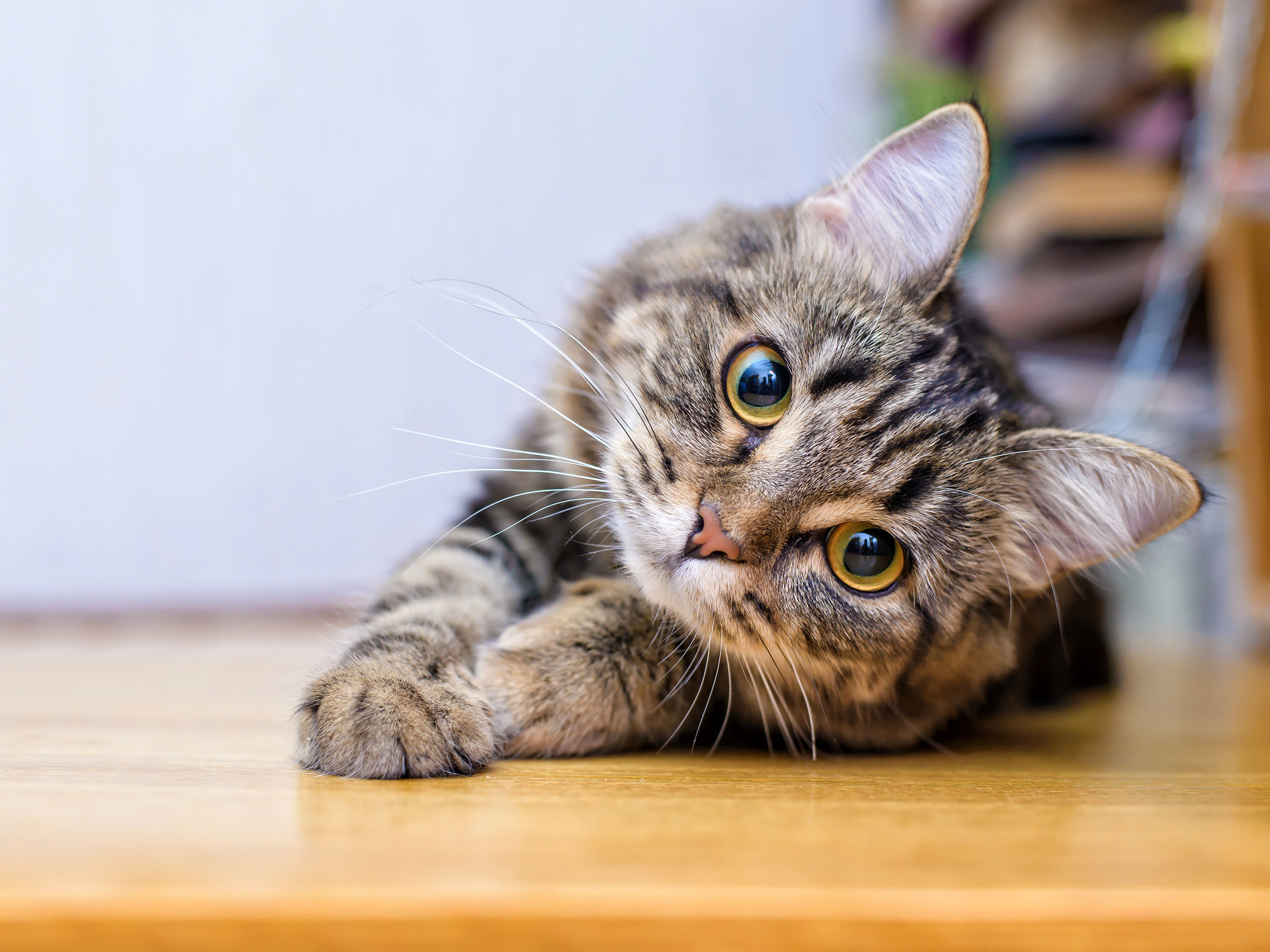 AdobeStock_236992283